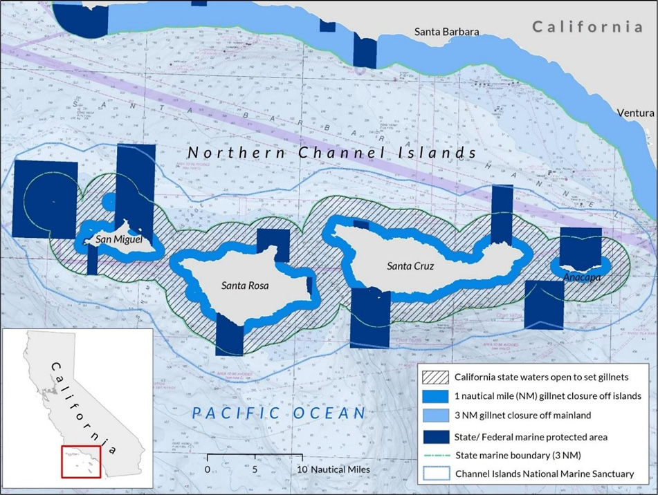 Ocean coastline map