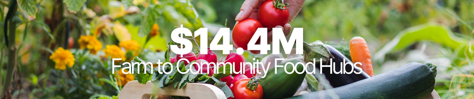 Farm to Community Food Hubs