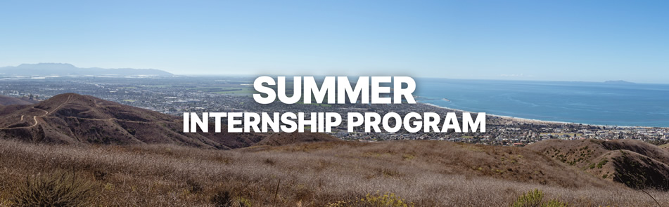Summer Internship Program