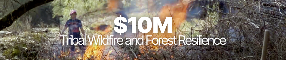 Tribal Wildfire and Forest Resilience