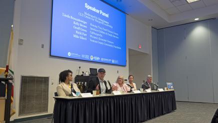 Panel of experts discussing issues facing nonprofits