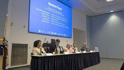 Panel of experts discussing issues facing nonprofits