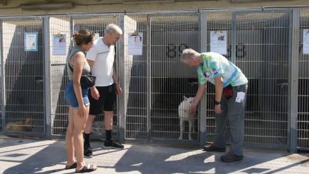 Asm. Bennett visiting a dog ready for adoption with a volunteer and potential adopter
