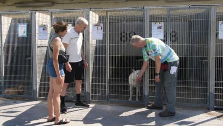 Asm. Bennett visiting a dog ready for adoption with a volunteer and potential adopter