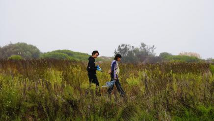 Constituents begin trash pick up 